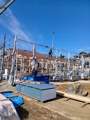 260217141024576 (1)1.jpg